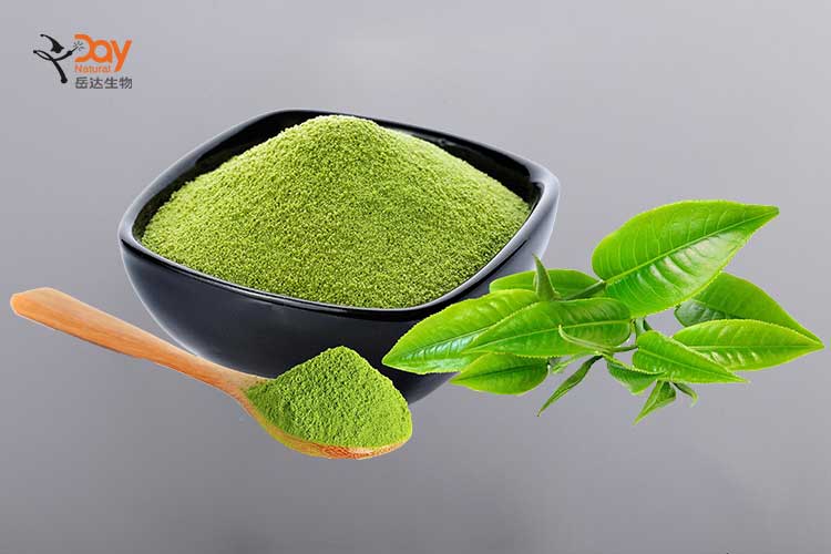 High Grade Matcha