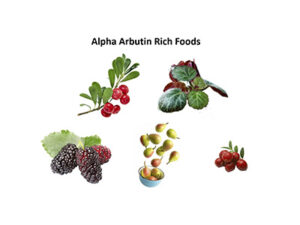 Alpha Arbutin Rich Foods