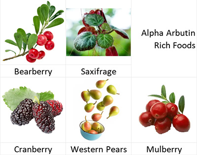 Alpha Arbutin Rich Foods