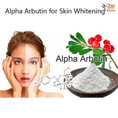 Alpha Arbutin for Skin Whitening