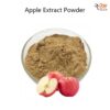 Apple Extract Powder