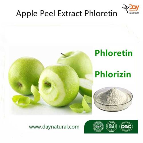 Apple Peel Extract Phloretin