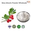 99% Beta-Arbutin Powder Manufacturer In China