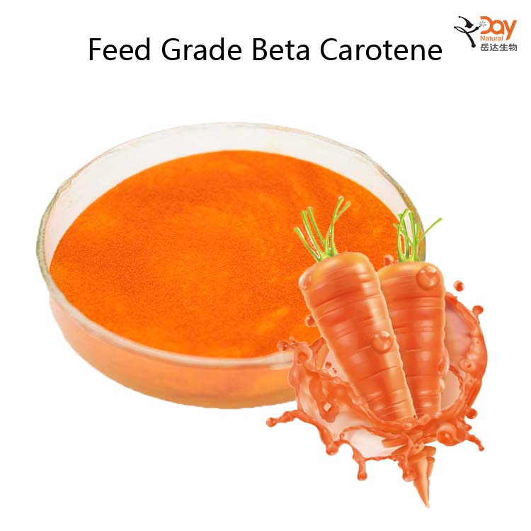 Beta Carotene powder