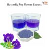 Butterfly Pea Flower Extract Powder