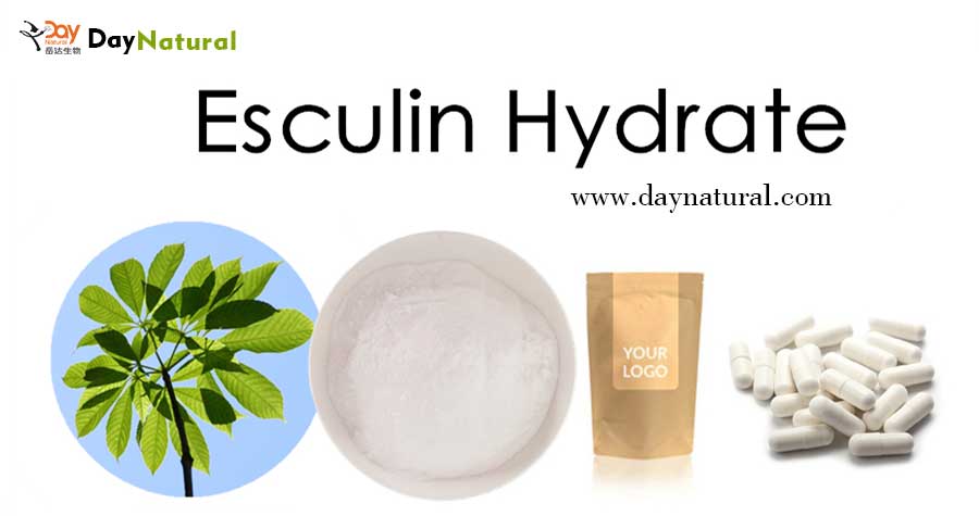 Horse Chestnut Seed Extract Esculin Powder 