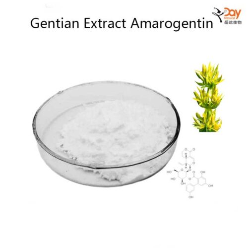 Gentian Extract Amarogentin Powder