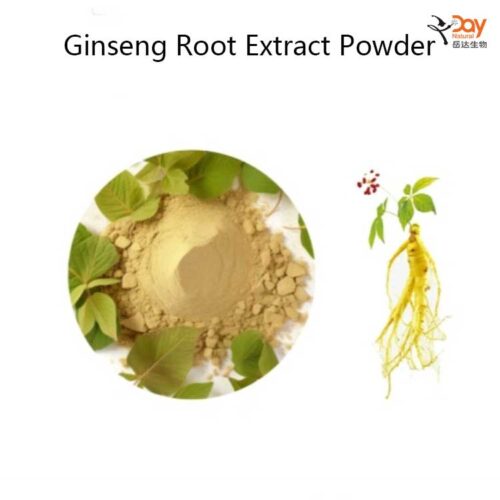 Ginseng Root Extract Powder