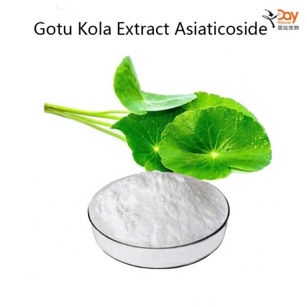 Gotu Kola Extract Asiaticoside Powder