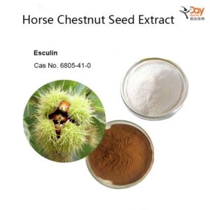 Horse Chestnut Seed Extract Esculin Powder