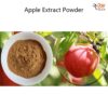 Natural Apple Extract Powder