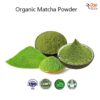 Organic Matcha Powder Supplier