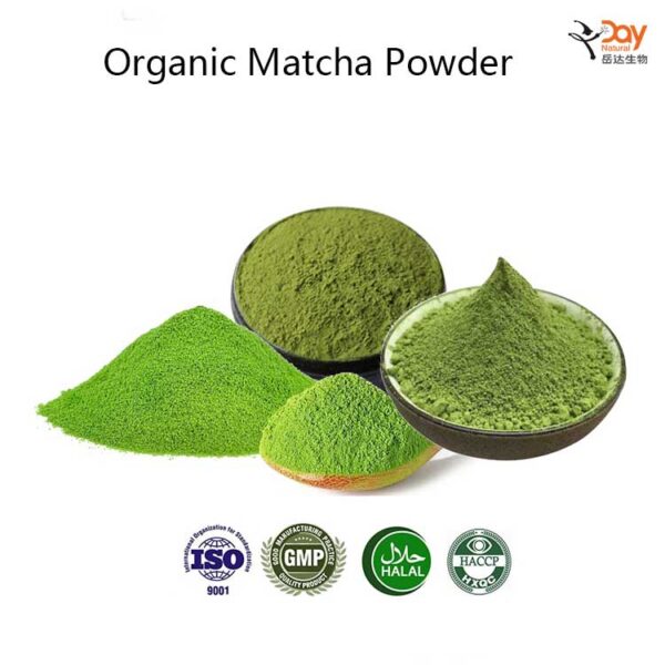 Organic Matcha Powder Supplier