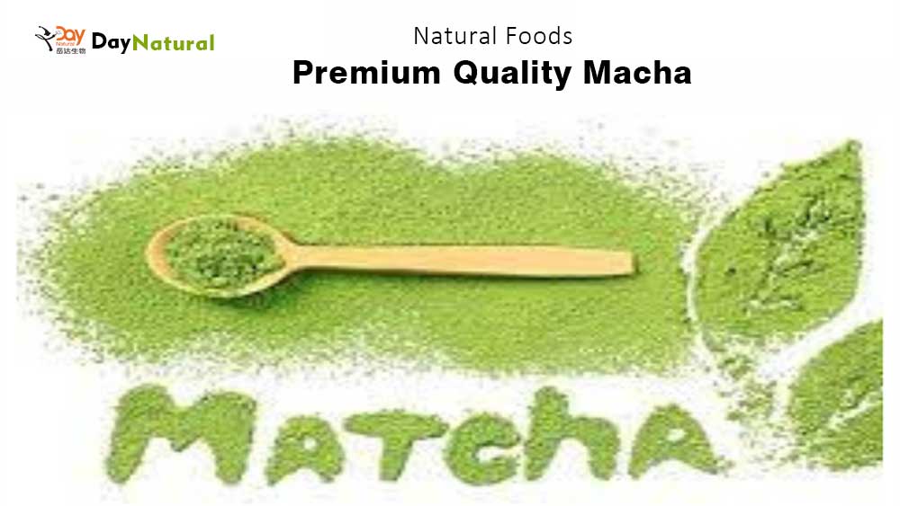 Day Natural Premium Quality Macha