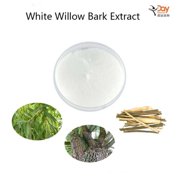 Salicin Powder White Willow Bark Extract