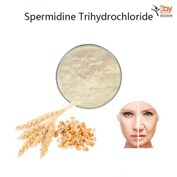 Anti-age Spemidine Trihydrochloride Powder