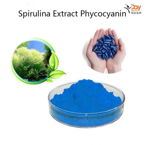 Spirulina Extract Phycocyanin Powder