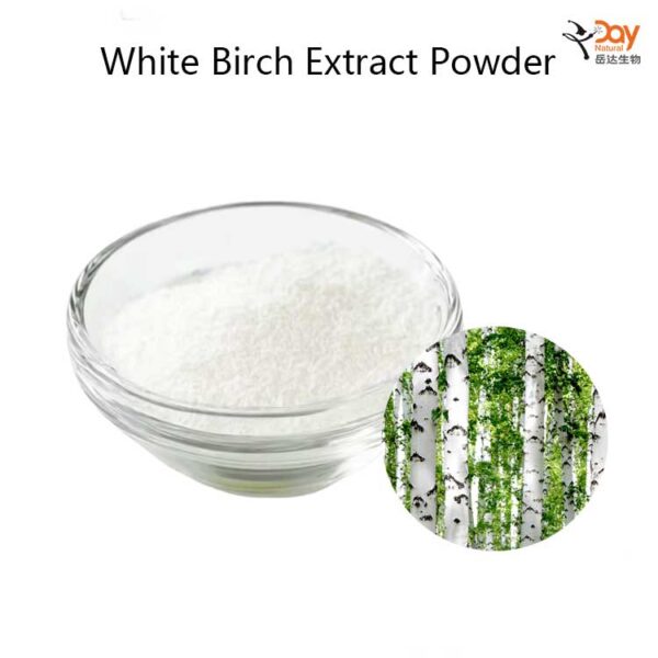 White Birch Extract Betulinic Acid Powder