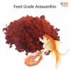 astaxanthin fish food