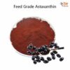 astaxanthin foods