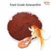 astaxanthin for fish color