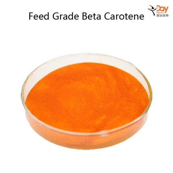 beta carotene supplement