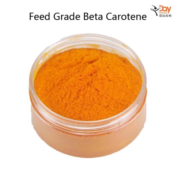 beta carotene vitamin