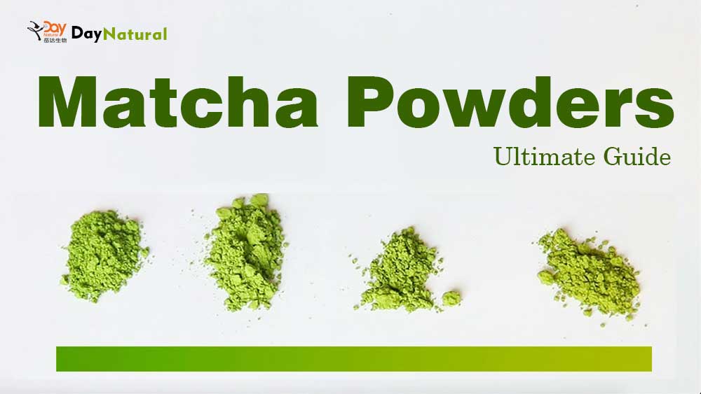 Matcha Ultimate Guide