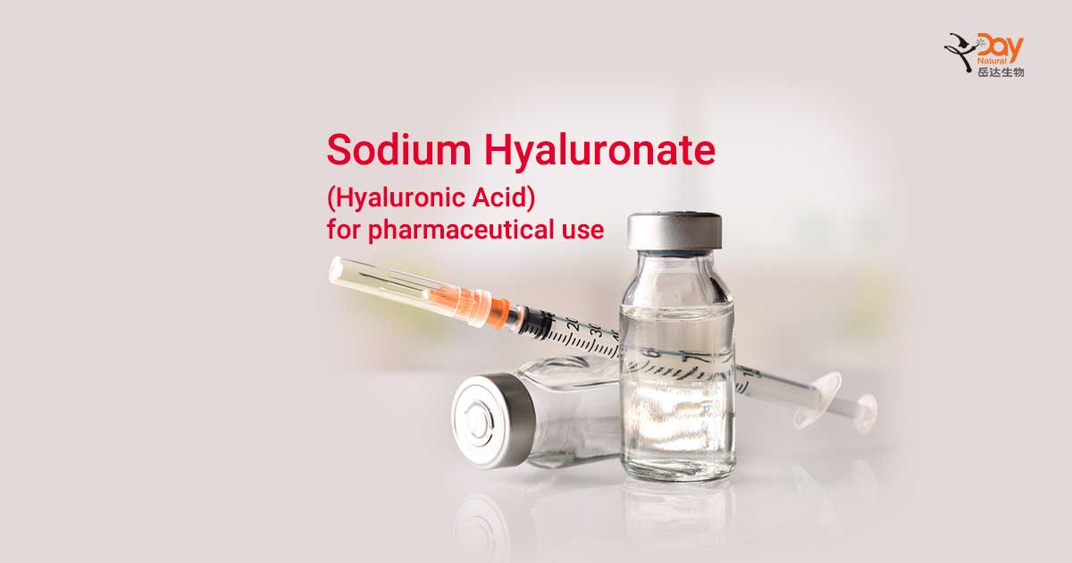 Benefits of Medical field products containing sodium hyaluronate