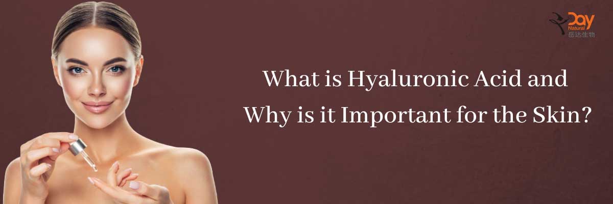 what is hyaluronic acid and why is_it important for the skin