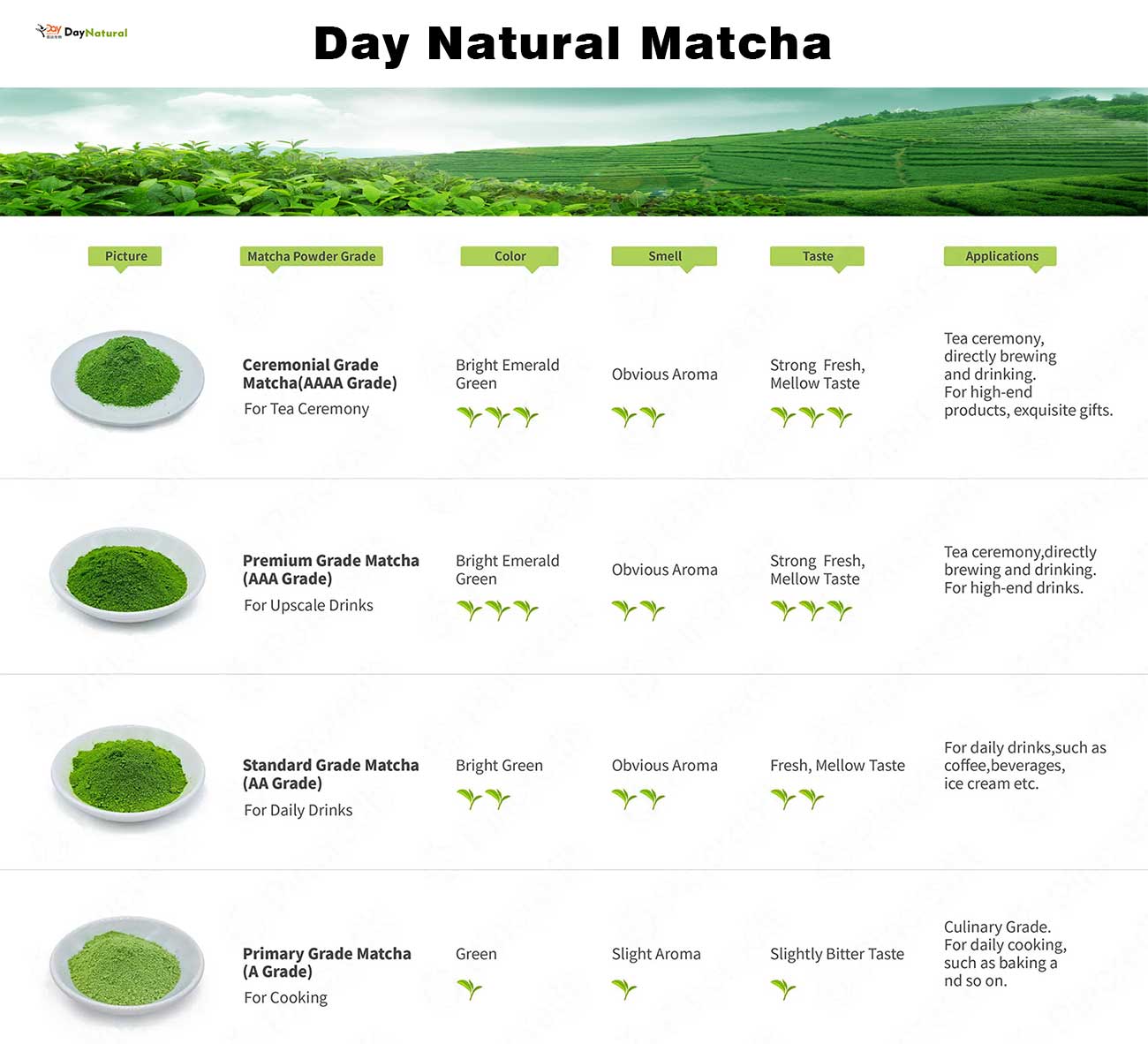 wholesale matcha powder supplier