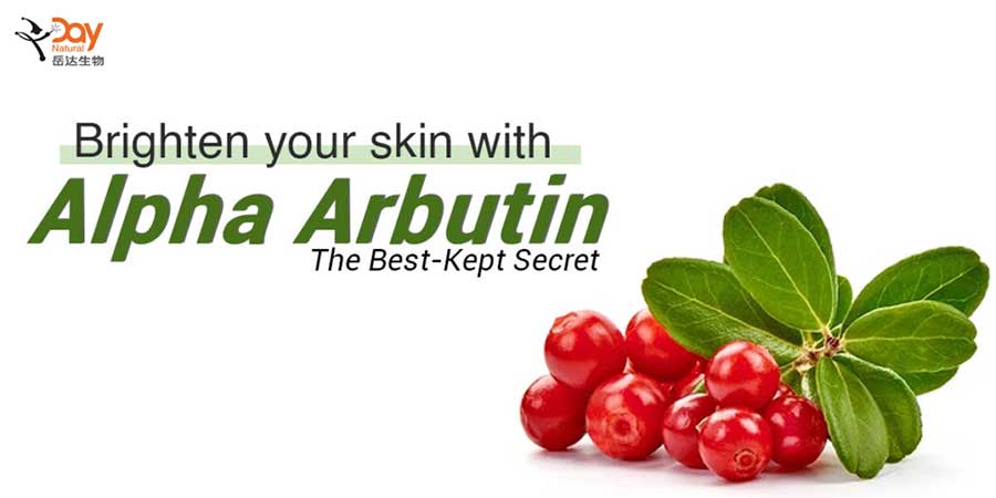 Alpha arbutin brighten your skin