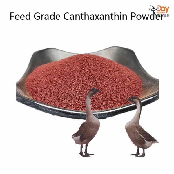 buy canthaxanthin