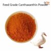 canthaxanthin color