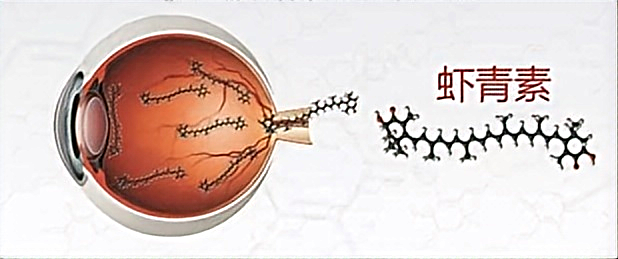 Astaxanthin For Eyes