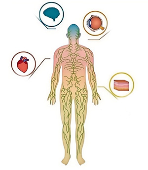 Astaxanthin For Immune System