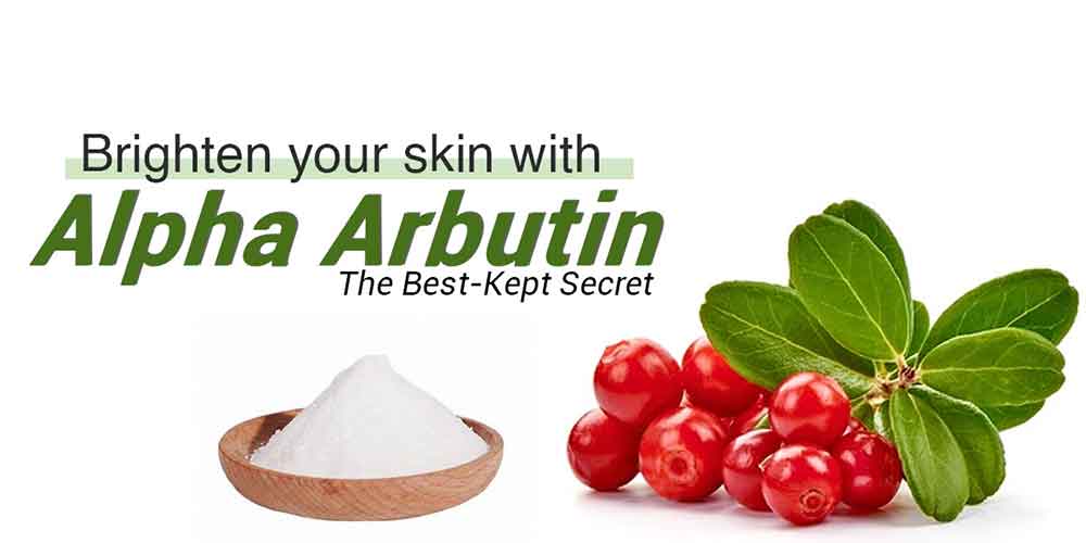 alpha arbutin powder