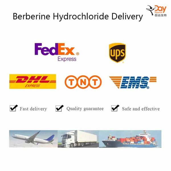 Berberine Hydrochloride Delivery