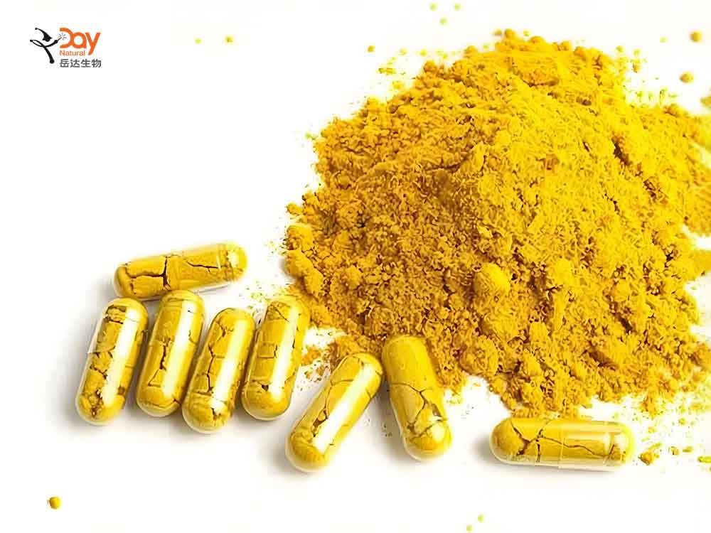 Berberine-Supplement