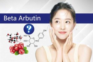 Beta arbutin powder