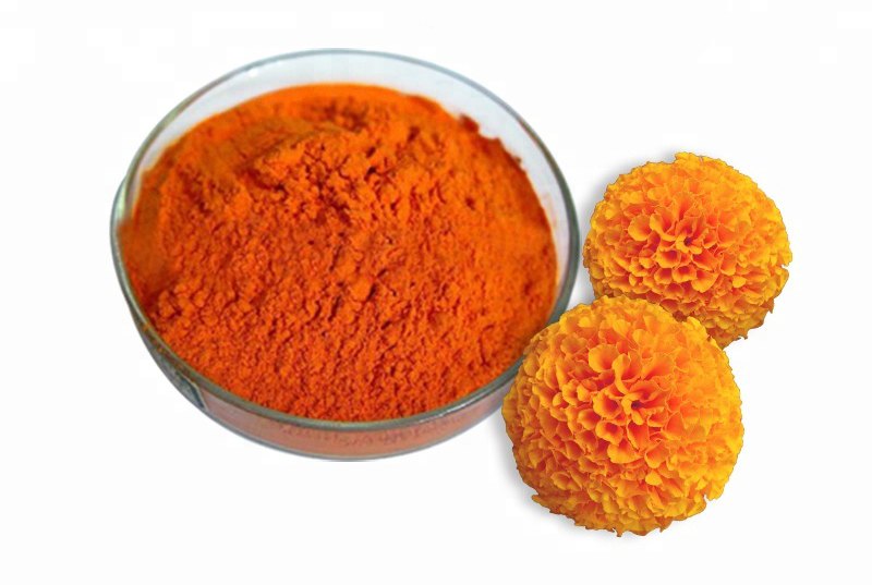 marigold extract powder